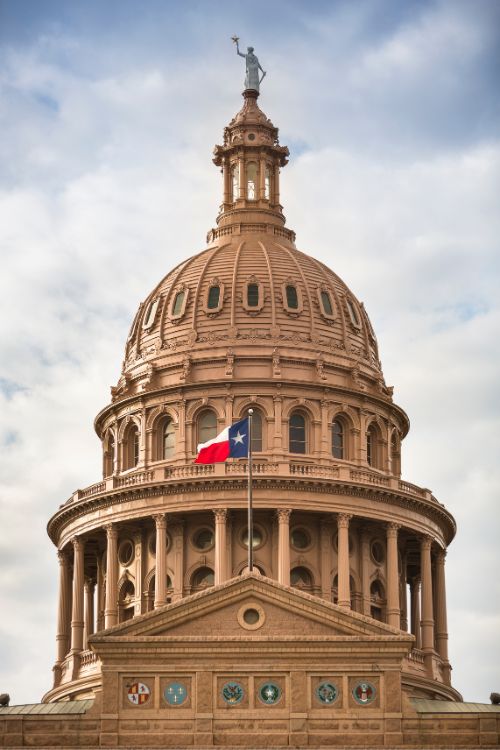 texas patient's rights and disclosures policies online counseling and therapy