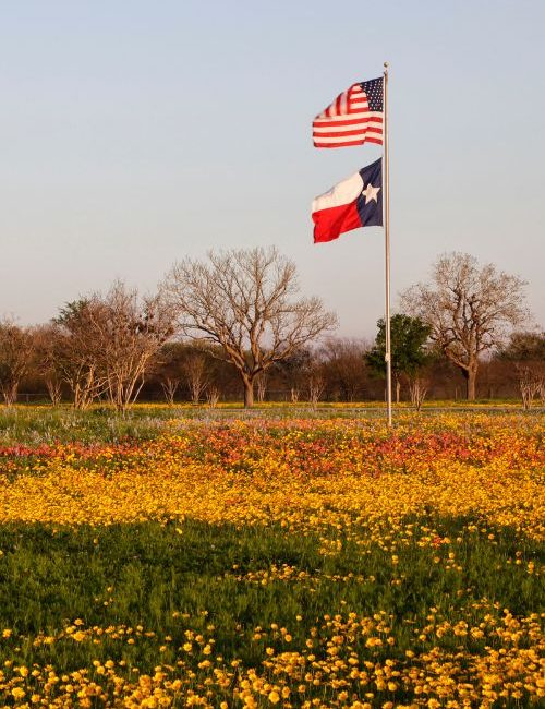 Texas online counseling and therapy service area